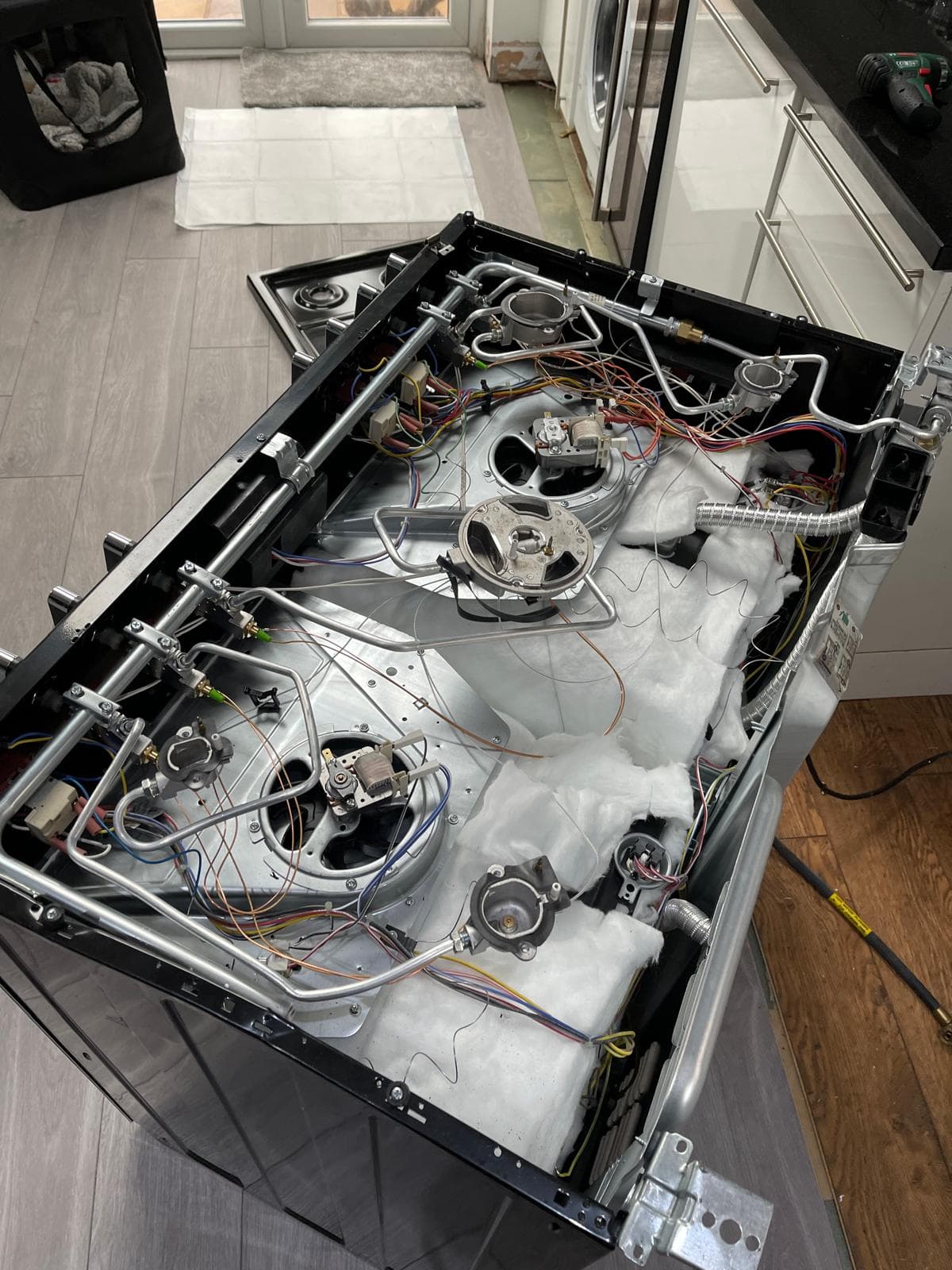 Warm Group Project 10