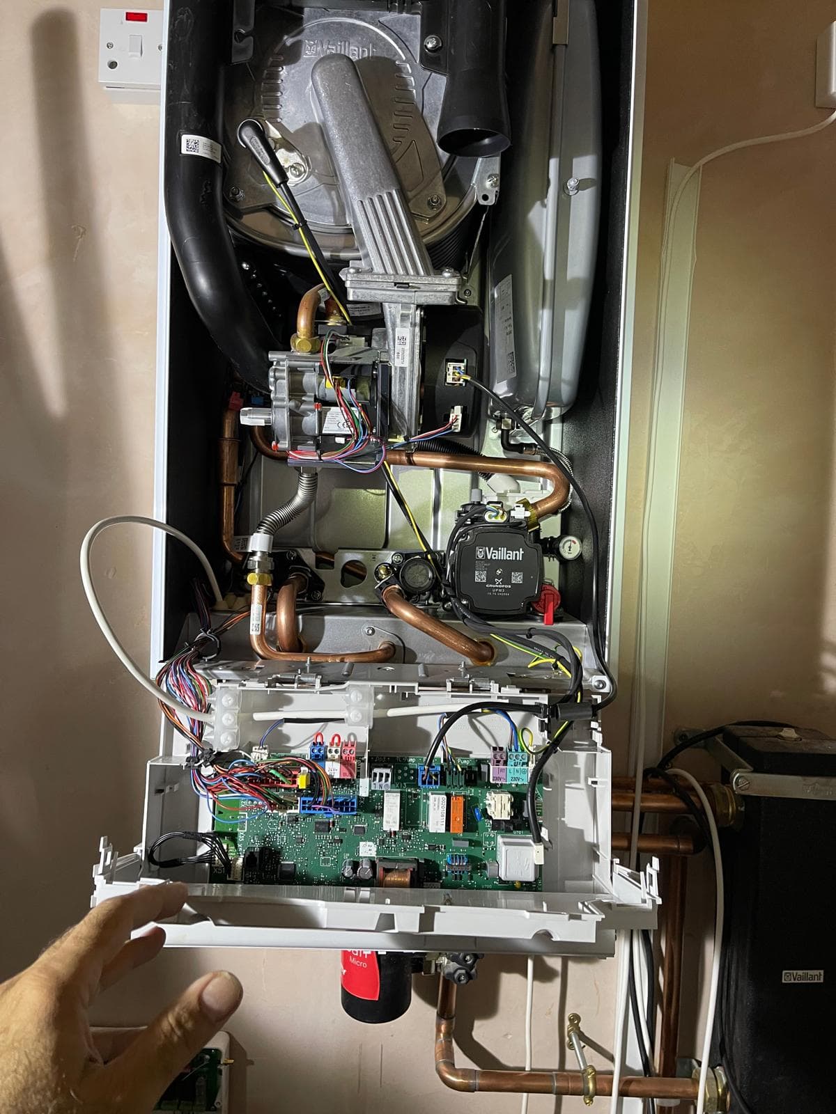 Warm Group Project 11