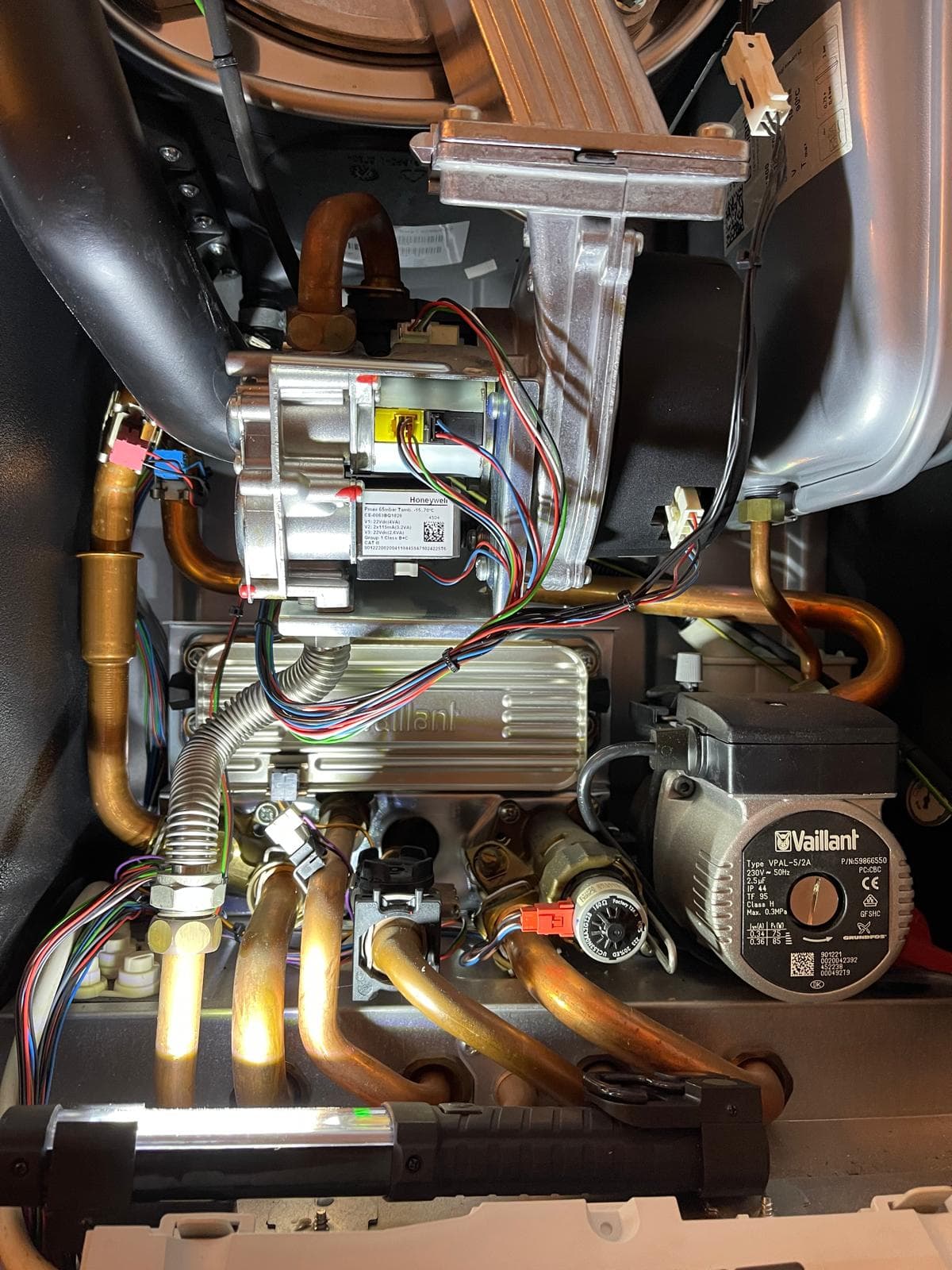 Warm Group Project 3