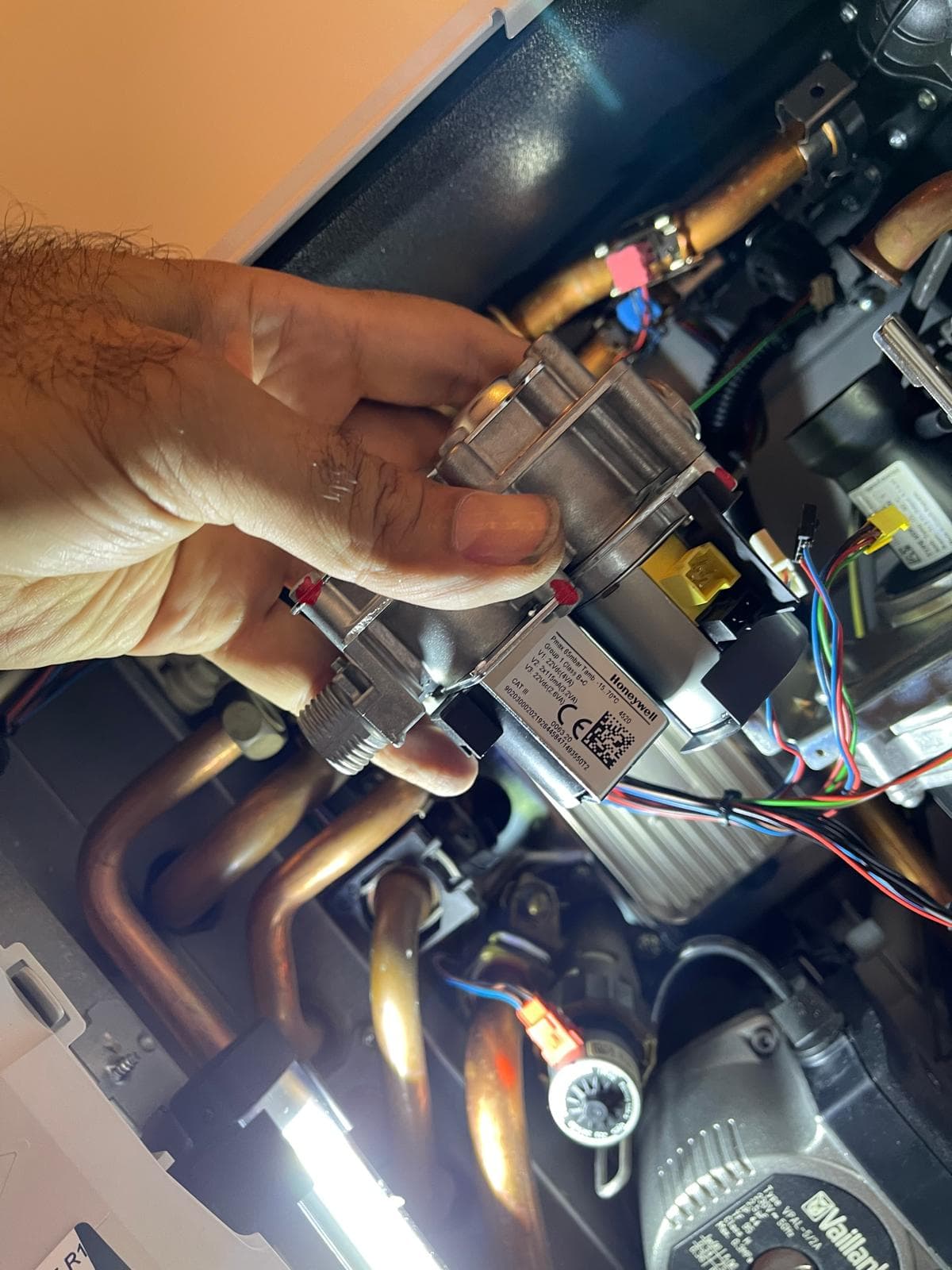 Warm Group Project 4