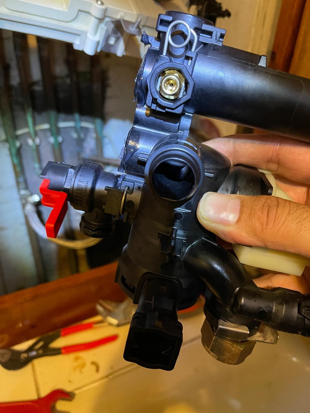 Warm Group Project 7