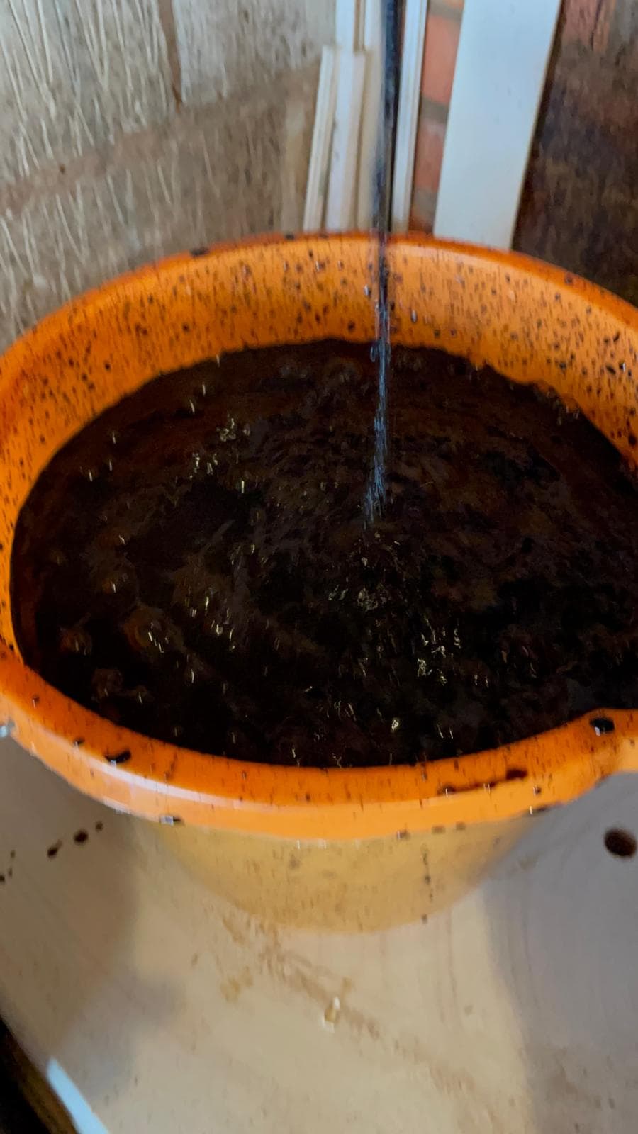 Warm Group Project 8